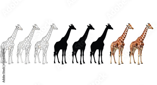 Evolution of a giraffe shown in different forms, including outline, silhouette, and full color versions