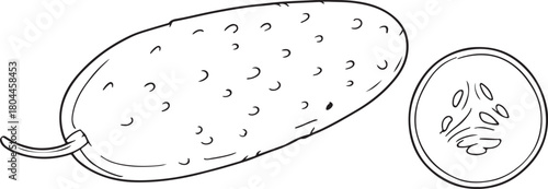 cucumber line art silhouette vector art illustration
