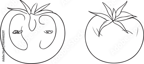 Simple black and white illustration of a tomato