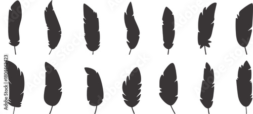 Set of black feather silhouettes featuring varied shapes and textures, ideal for nature illustrations, decorative artwork, designs, and creative branding elements.