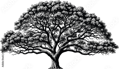 black and white tree
