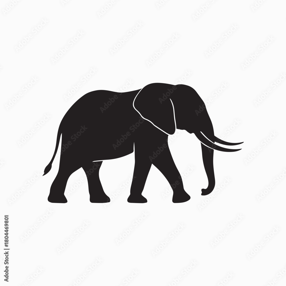Fototapeta premium Elephant Black and White Silhouette