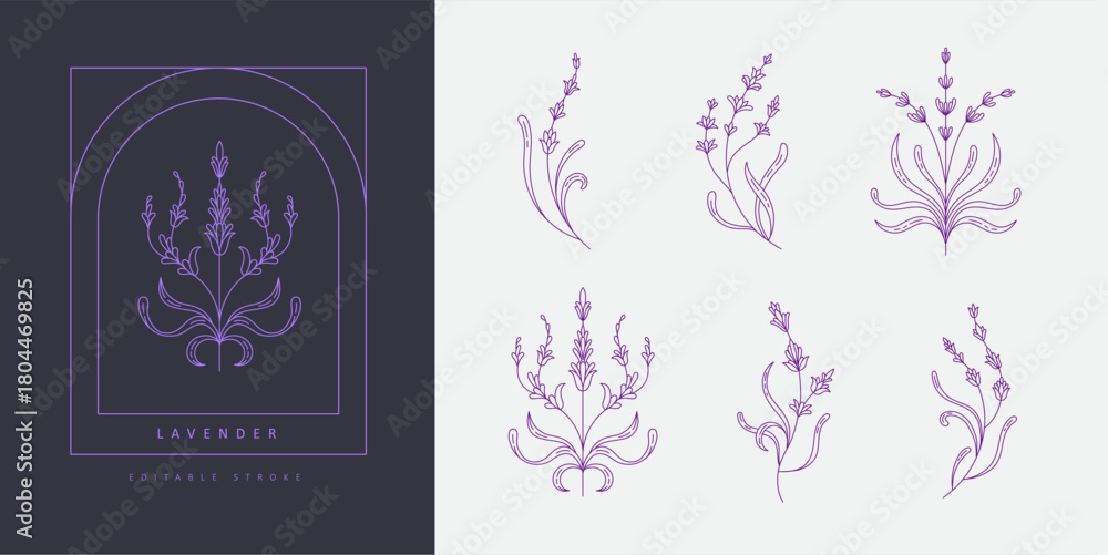 Naklejka premium Set of simple geometric lavender branch and flowers. Botanic design elements in wavy and vintage style. Leaves and branches print for logo, social media or packaging