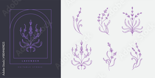 Set of simple geometric lavender branch and flowers. Botanic design elements in wavy and vintage style. Leaves and branches print for logo, social media or packaging
