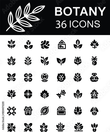 Botany and floriculture solid black icons set vector design of plant flower leaf branch agriculture natural environment and organic product symbols collection.