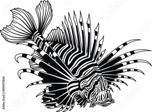 Black and white lionfish vector illustration aquatic animal drawing eps silhouette