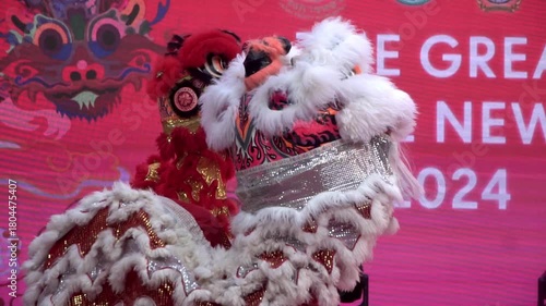 Chinese lion dance performing, Slow motion.	
