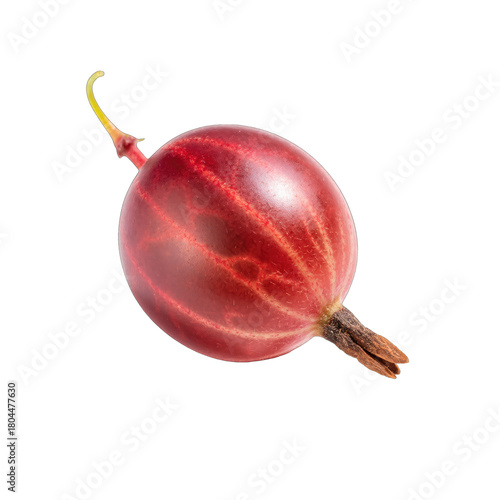 Single Ripe Red Gooseberry Fruit with Stem and Leaf Stem Isolated on Transparent Background