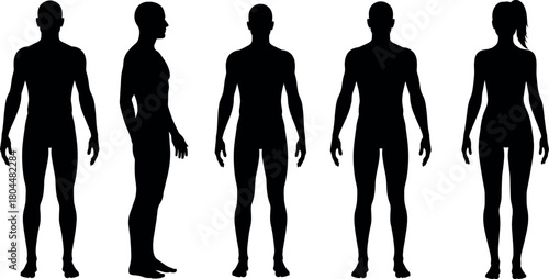 Human body silhouettes set, male and female figures standing, front and side view, black vector shapes isolated on white background.