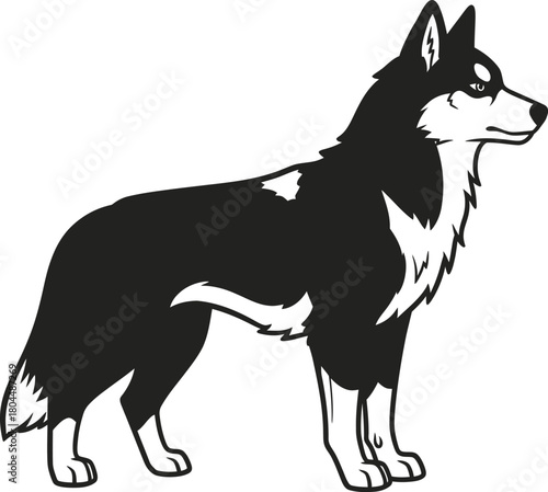 Black and white husky dog drawing illustration vector image design eps silhouette
