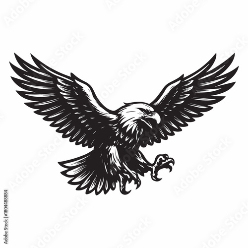 Majestic Eagle Landing Black and White Illustration