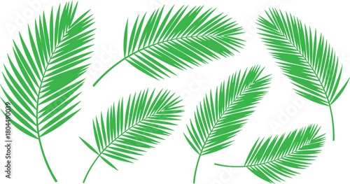 Vibrant green leaf illustration with intricate veins and natural textures perfect for ecological themes and organic designs