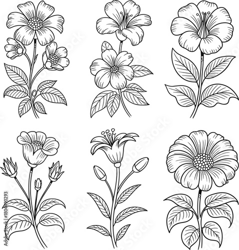 Hand-drawn Black and White Botanical Flowers Vector Set: Vintage Floral Line Art Collection for Coloring Books, Print Designs, Wedding Invitations, and Nature-Themed Graphics.