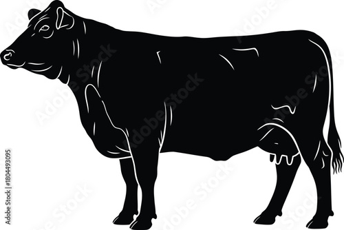 Black angus cow vector illustration farm animal livestock cattle beef art eps silhouette