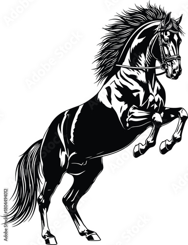 Black horse rearing up vector illustration equestrian animal design eps silhouette