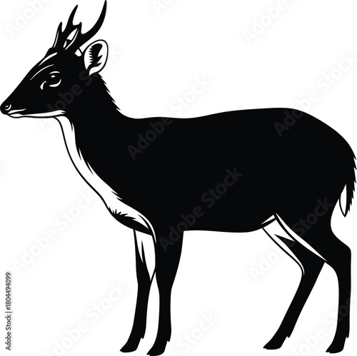 Find black duiker illustration vector image of forest antelope animal eps silhouette
