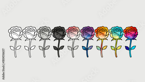 The process of drawing a rose from line drawing to a complete draft, hand-drawn vector illustration