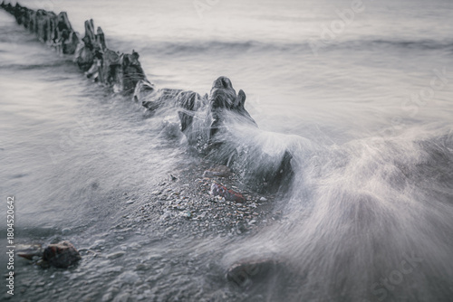 Coastal Driftwood at Sunset, Dynamic Sea Motion