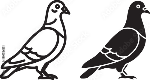 Pigeon vector icon set: black and white outline and solid silhouette design of a common urban bird, simple graphic illustration for print isolated on white background, Vector, illustration