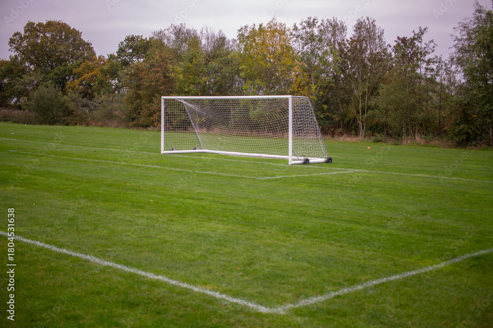 Fototapeta premium soccer field and goal