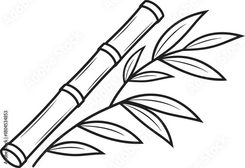 Sugarcane Illustration Set. Sugarcane Outline Design. Fresh Sugarcane Art Collection. Sugarcane Line Drawing Pack. Tropical Sugarcane Artwork. Sugarcane Plant Outline Series. Organic Sugarcane Graphic