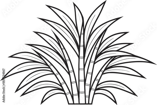 Sugarcane Illustration Set. Sugarcane Outline Design. Fresh Sugarcane Art Collection. Sugarcane Line Drawing Pack. Tropical Sugarcane Artwork. Sugarcane Plant Outline Series. Organic Sugarcane Graphic