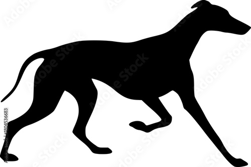 Design of greyhound in elegant pose