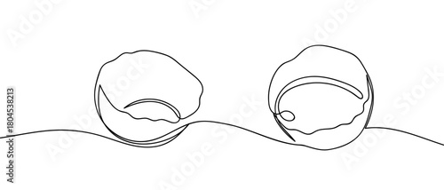 A chicken egg split into two halves in one continuous line. simple linear style. Editable stroke.