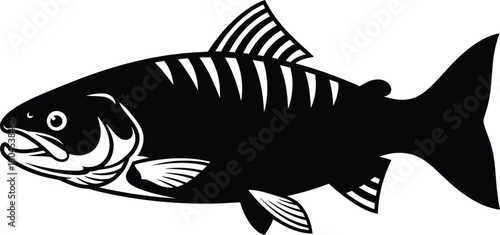Black and white salmon fish illustration vector graphic design image eps silhouette