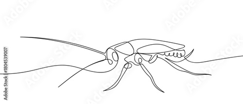 Cockroach in one continuous line simple linear style. Editable stroke.