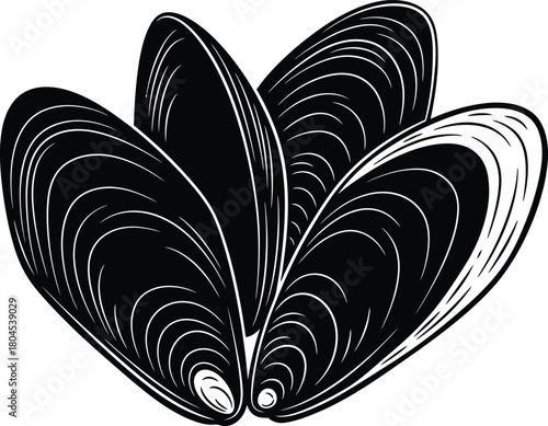Mussel shell vector illustration seafood shellfish black and white art eps silhouette