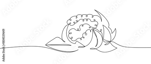 Cauliflower in one continuous line simple linear style. Editable stroke.