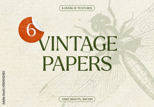 Vintage Paper Textures