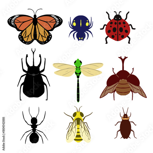 cute and flat illustration of insects set with minimalist style
