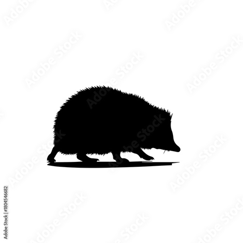 Silhouette of a hedgehog walking on a white background.