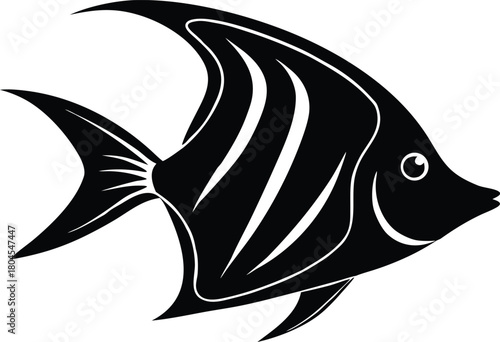 Isolated angelfish silhouette. Exotic marine fish vector graphic.