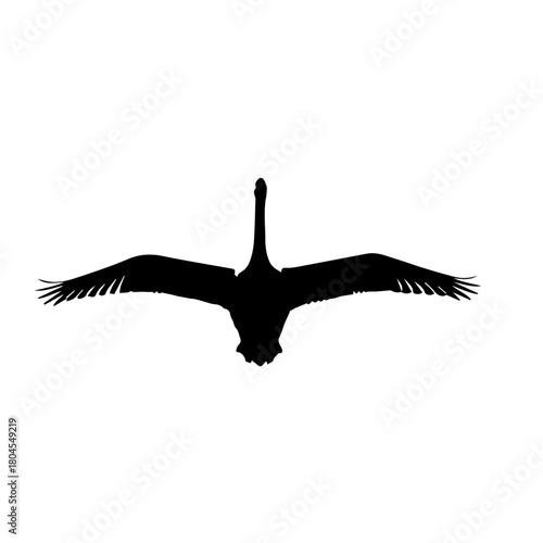 Black silhouette of a bird with outstretched wings in flight against a white background, viewed from below.
