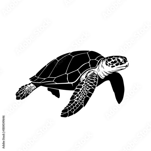 Black and white illustration of a sea turtle swimming.