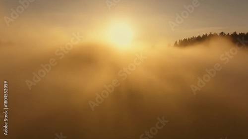 Warm golden sunlight filtered through subtle soft fog creating a cozy and dreamy aesthetic 16-9 background with gentle ambient glow and serene atmospheric motion