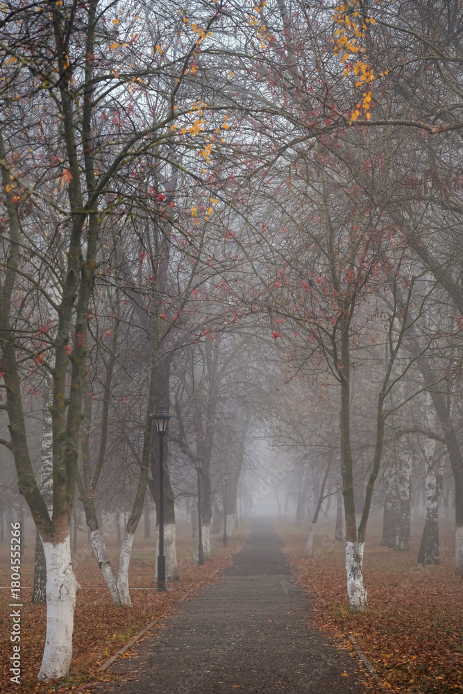 Naklejka premium beautiful autumn foggy morning landscape with park alley. City park in fog, tree trunks and fallen foliage. late fall season. mysterious atmosphere. misty weather. selective focus