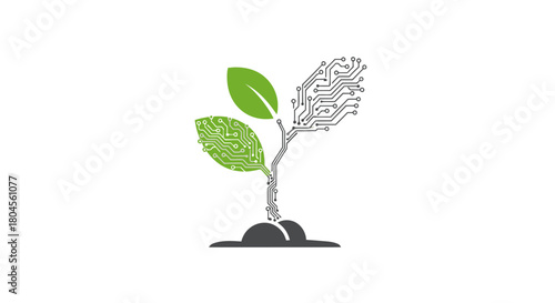 A digital plant growing from the ground, symbolizing technology and nature.