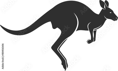 Kangaroo illustration vector graphic animal silhouette australia jump eps