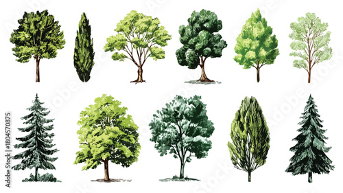 Diverse Tree Collection with Green Leaves - Nature's Beauty Captured in One Image