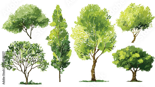 Lush Green Trees and Branches Vector Art for Nature Backgrounds