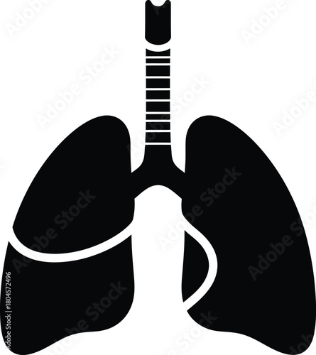 Human lungs anatomy illustration respiratory system medical diagram art eps silhouette