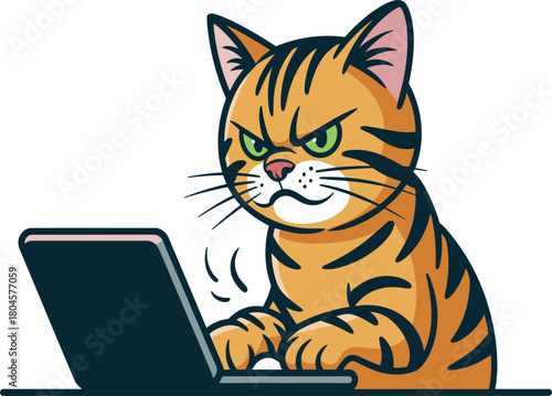 Angry tabby cat typing on laptop cartoon vector illustration, grumpy feline working, funny animal character keyboard computer graphic