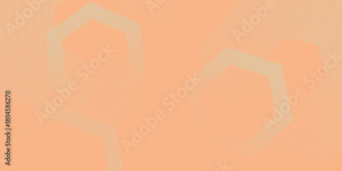 Gradient pink red patterned desktop wallpaper. Abstract vector illustration of modern lines background. Hexagon lines on yellow background. presentation design for corporate business and institution .
