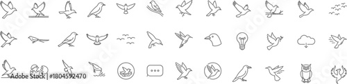 Aves Vector: Wild Birds Line Icons Collection