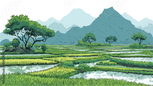 Spectacular Rice Fields and Mountain Landscape View Vector Image