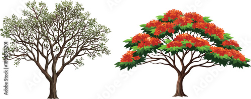 Two contrasting trees side by side, green foliage and red flowers, nature diversity, tree comparison, botanical beauty, landscape contrast, vibrant flora